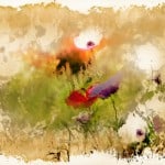 תמונה 2 של הצייר איש גורדון